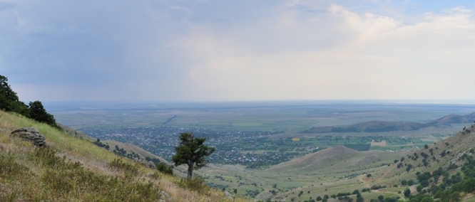 landscape