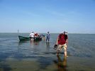 LANDSCAPE ECOLOGY DAYS WORKSHOP