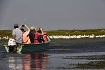 LANDSCAPE ECOLOGY DAYS WORKSHOP
