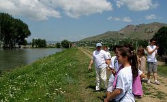 Turcoaia